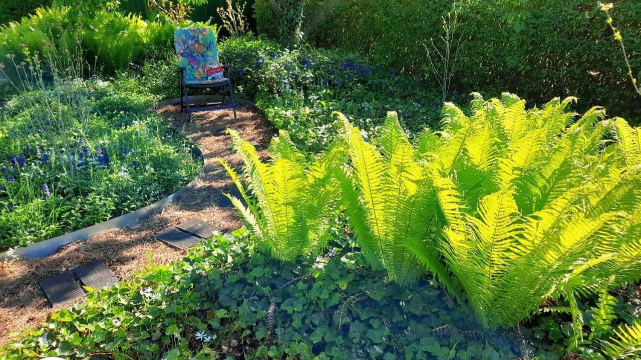 סטורקאו Mitten Im Seenland Und Spreewaldnah, Schoener Garten מראה חיצוני תמונה