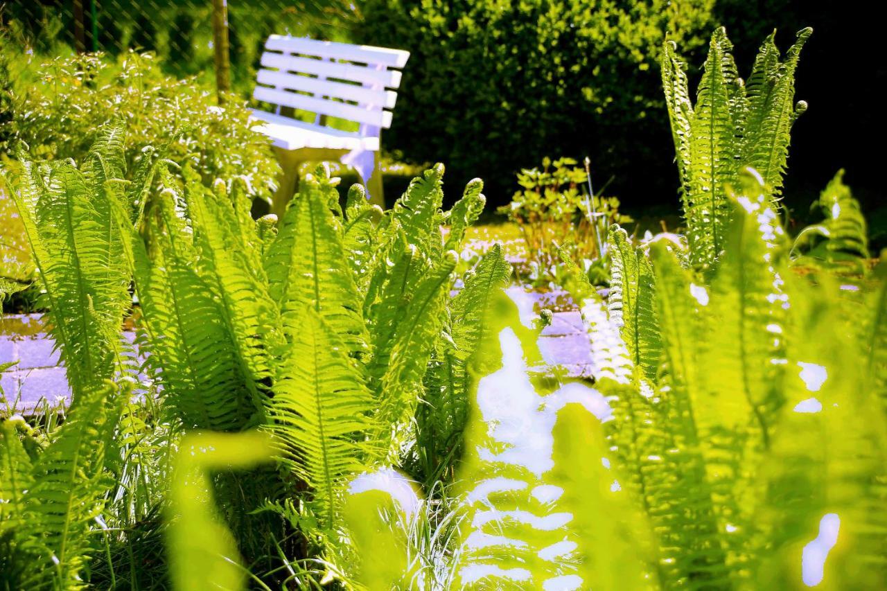 סטורקאו Mitten Im Seenland Und Spreewaldnah, Schoener Garten מראה חיצוני תמונה